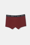 Kiremit D-Men Saks Spor Micro Modal Boxer