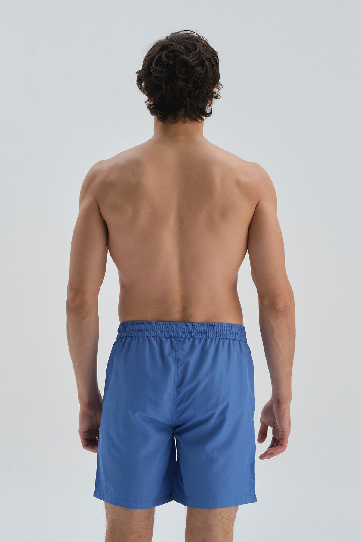 Mavi - Mint Yesili Micro Orta Düz Deniz Şortu