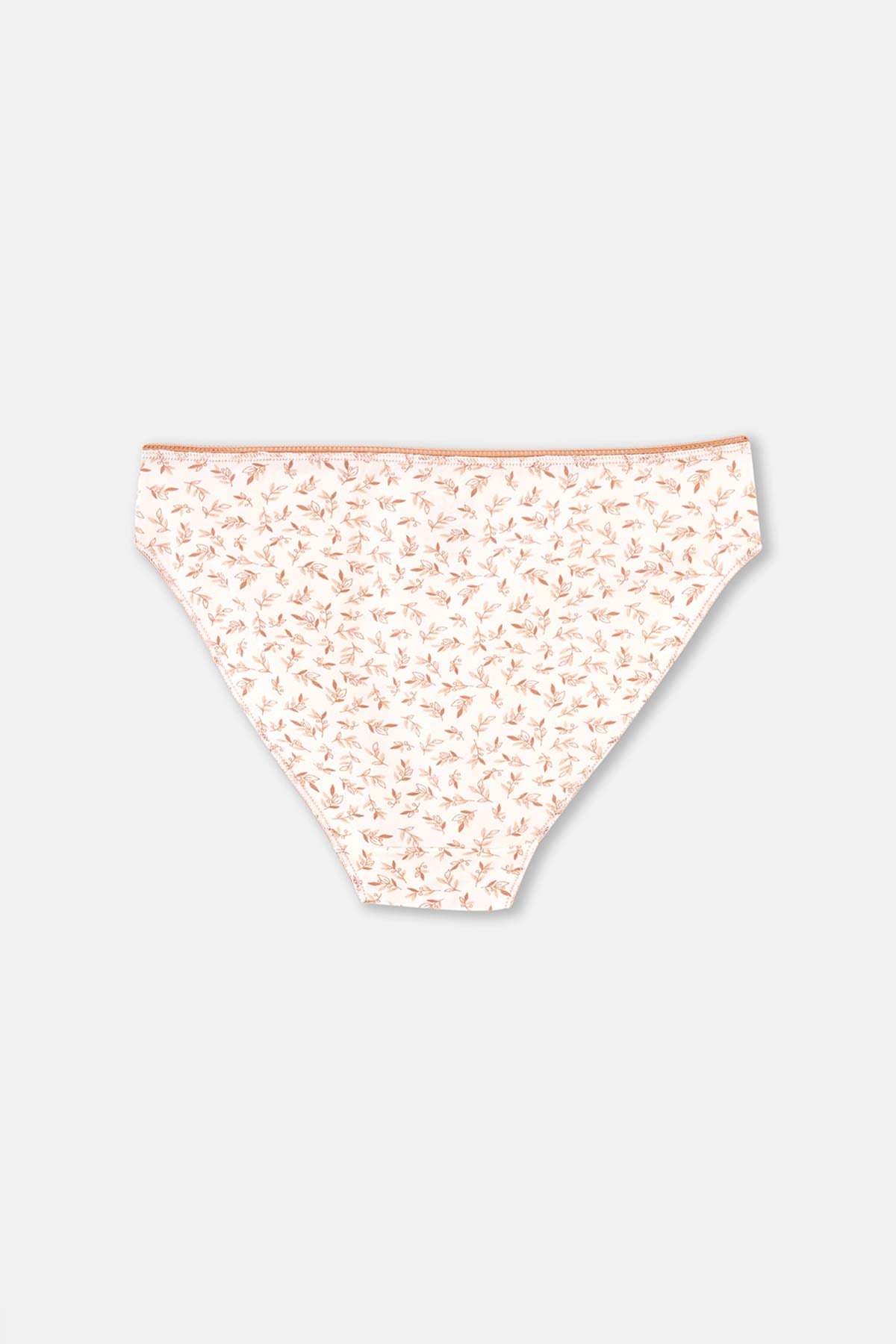 Karışık Karışık Kadın 2'Li Pamuklu Brıef