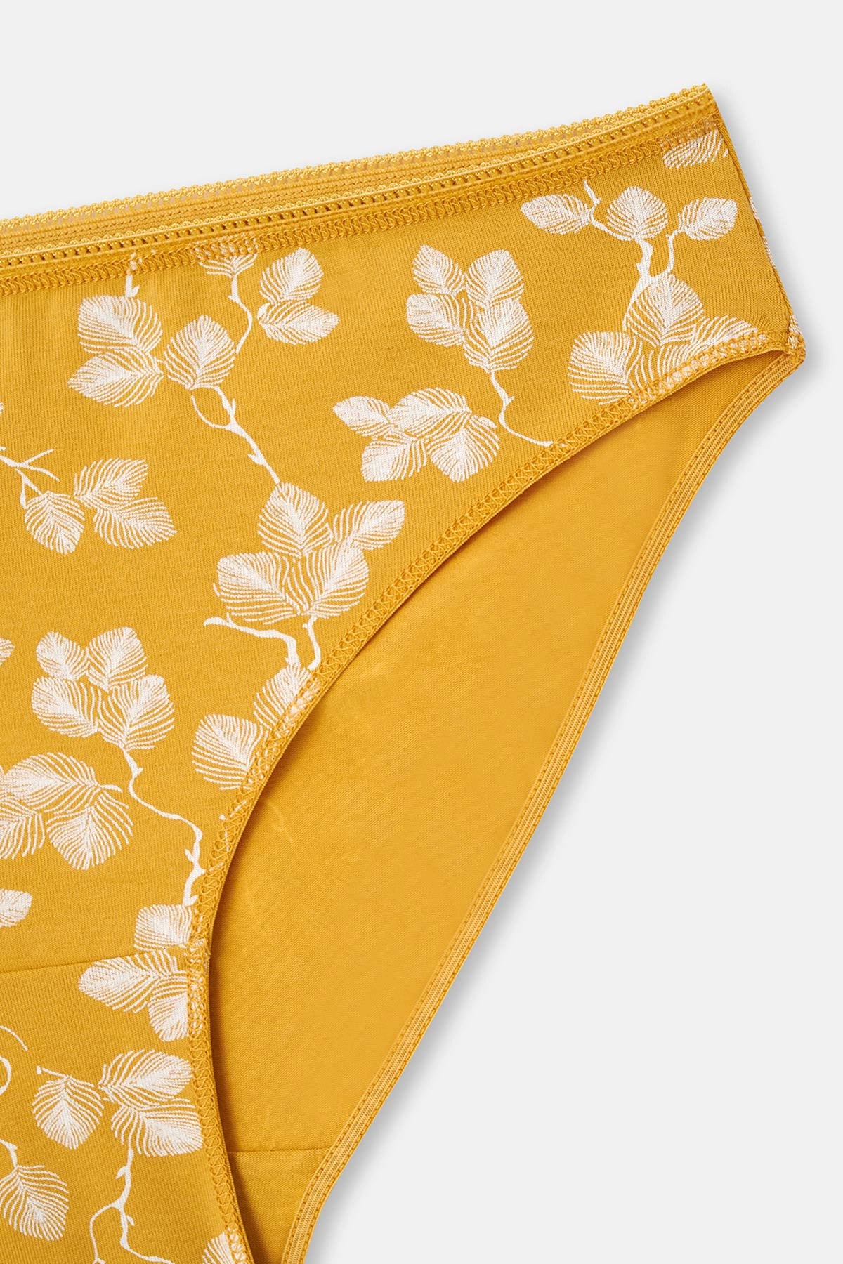 Karışık Karışık Kadın 2'Li Pamuklu Brıef