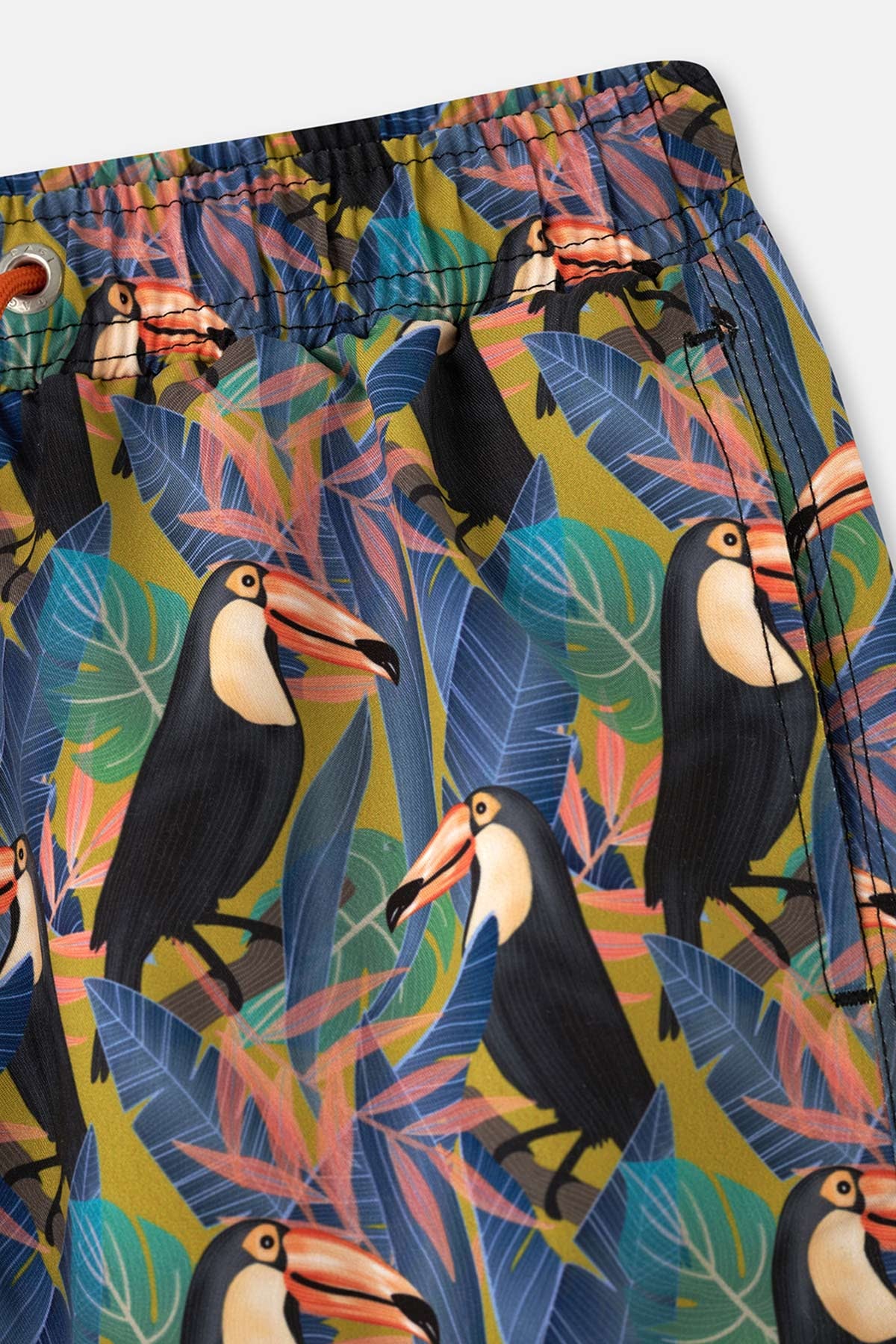 Siyah - Yeşil Tucan Desenli Deniz Şortu
