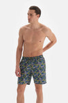 Antrasit - Petrol Tembel Hayvan Desenli Orta Deniz Şortu