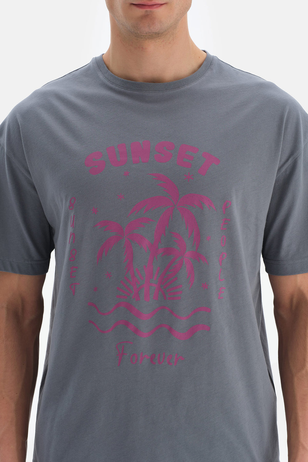 Antrasit Baskılı Bisiklet Yaka T-Shirt