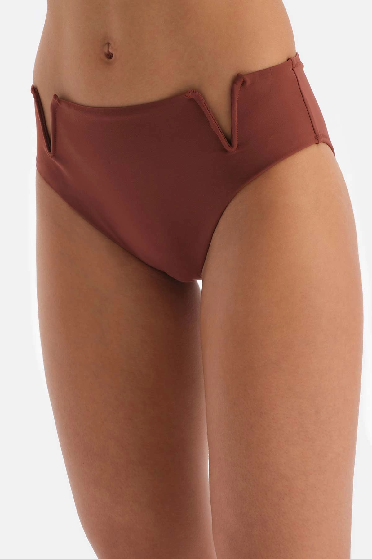 Kahve Normal Bel Bikini Altı