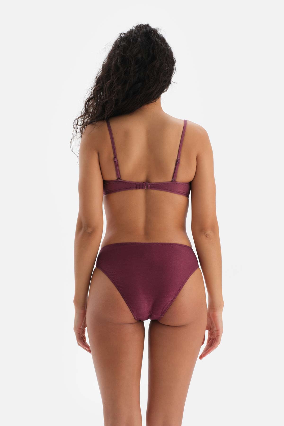 Bordo-Ekru Yüksek Bel Bikini Altı