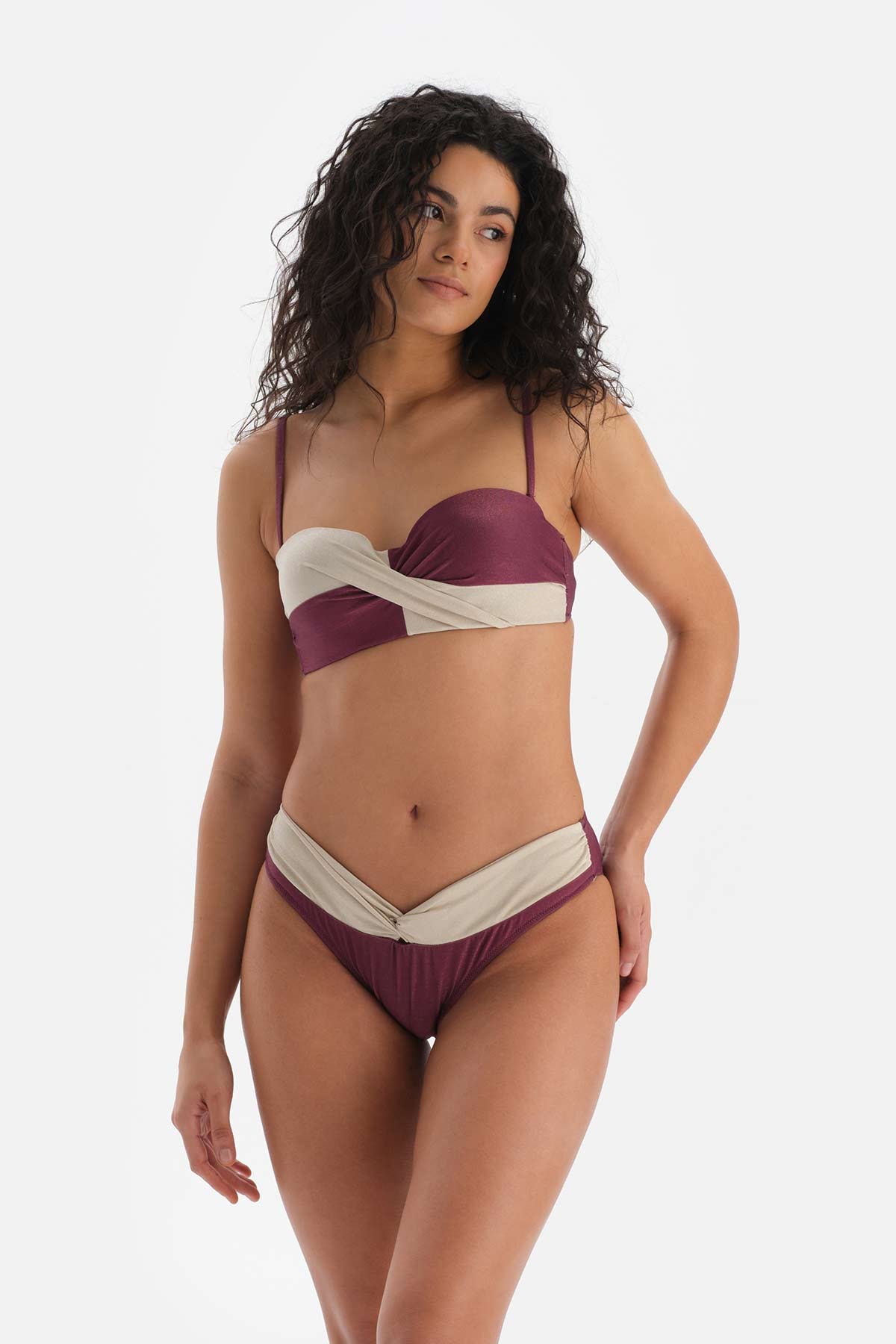 Bordo-Ekru Yüksek Bel Bikini Altı