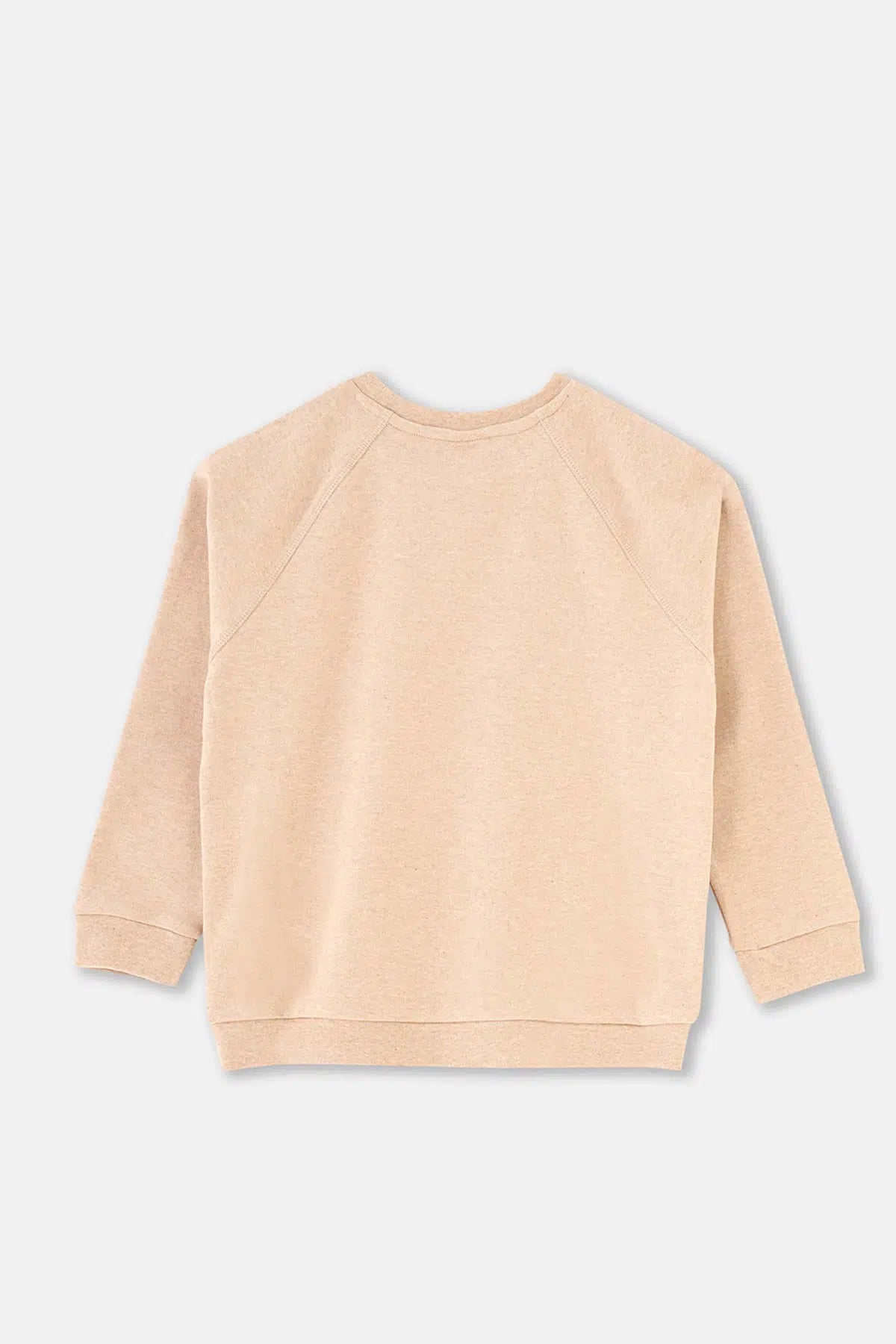 Kahve Melanj Ribana Detaylı Bisiklet Yaka Sweatshırt