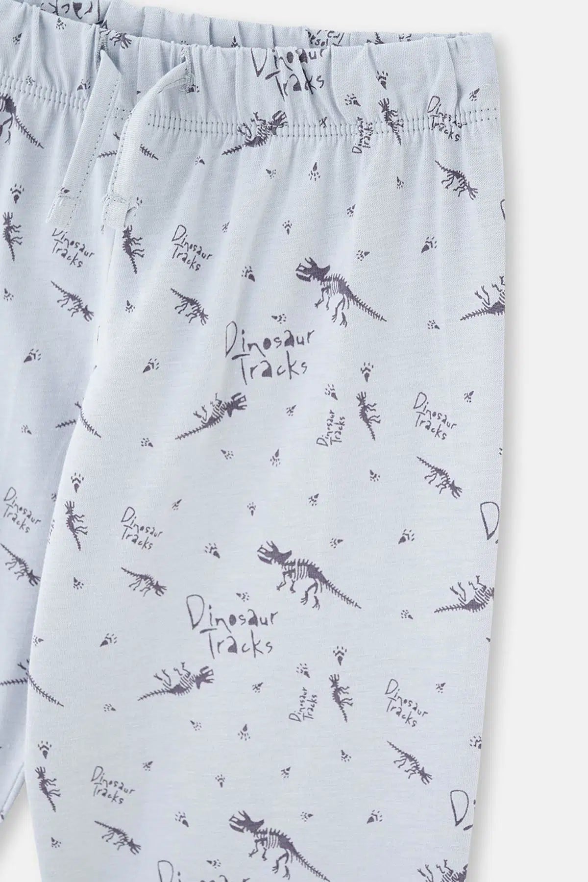 Mavi Dinozor Baskılı Uzun Kollu Pijama Takımı