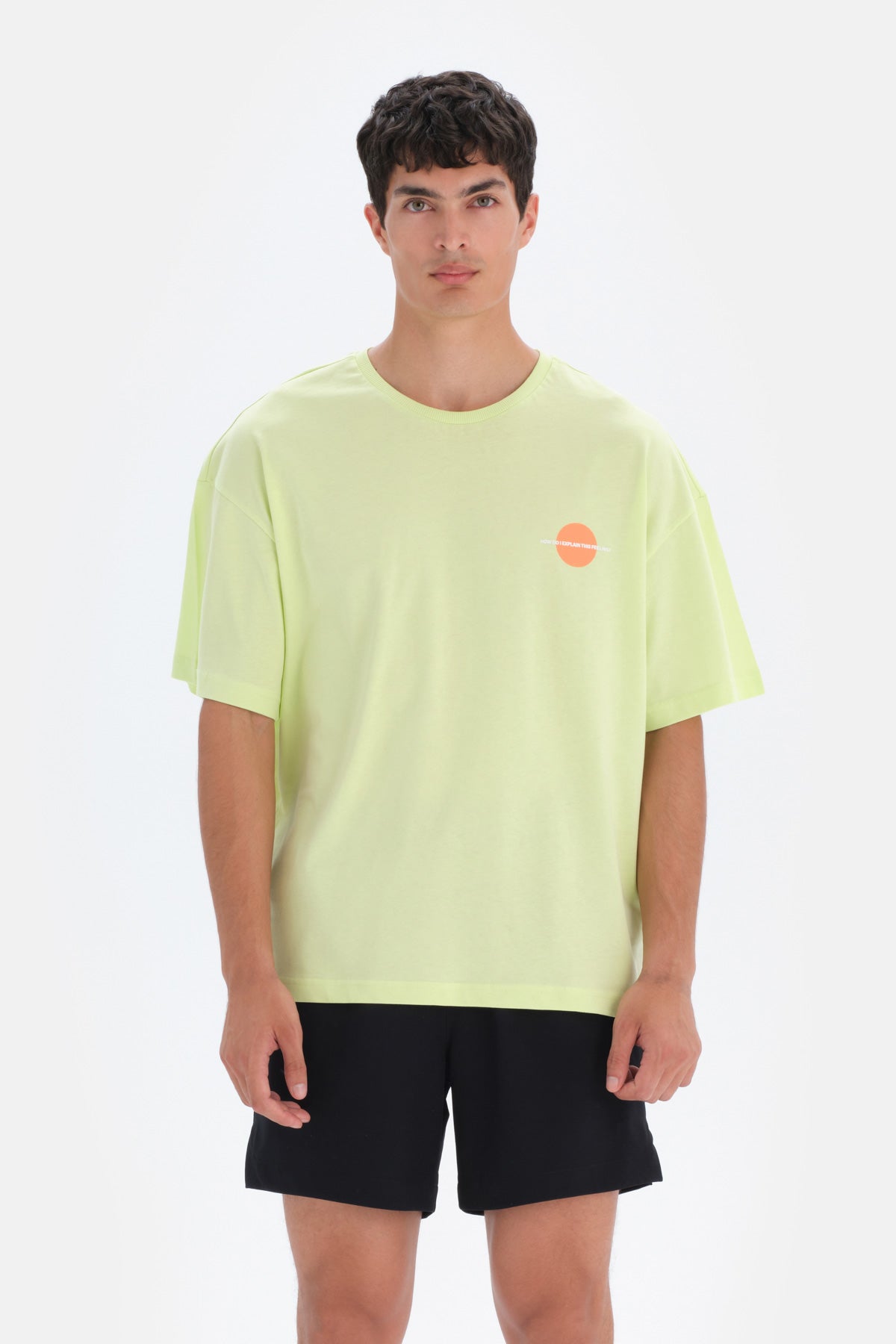 Açık Yeşil Dagi Active Dağ Baskılı T-Shirt