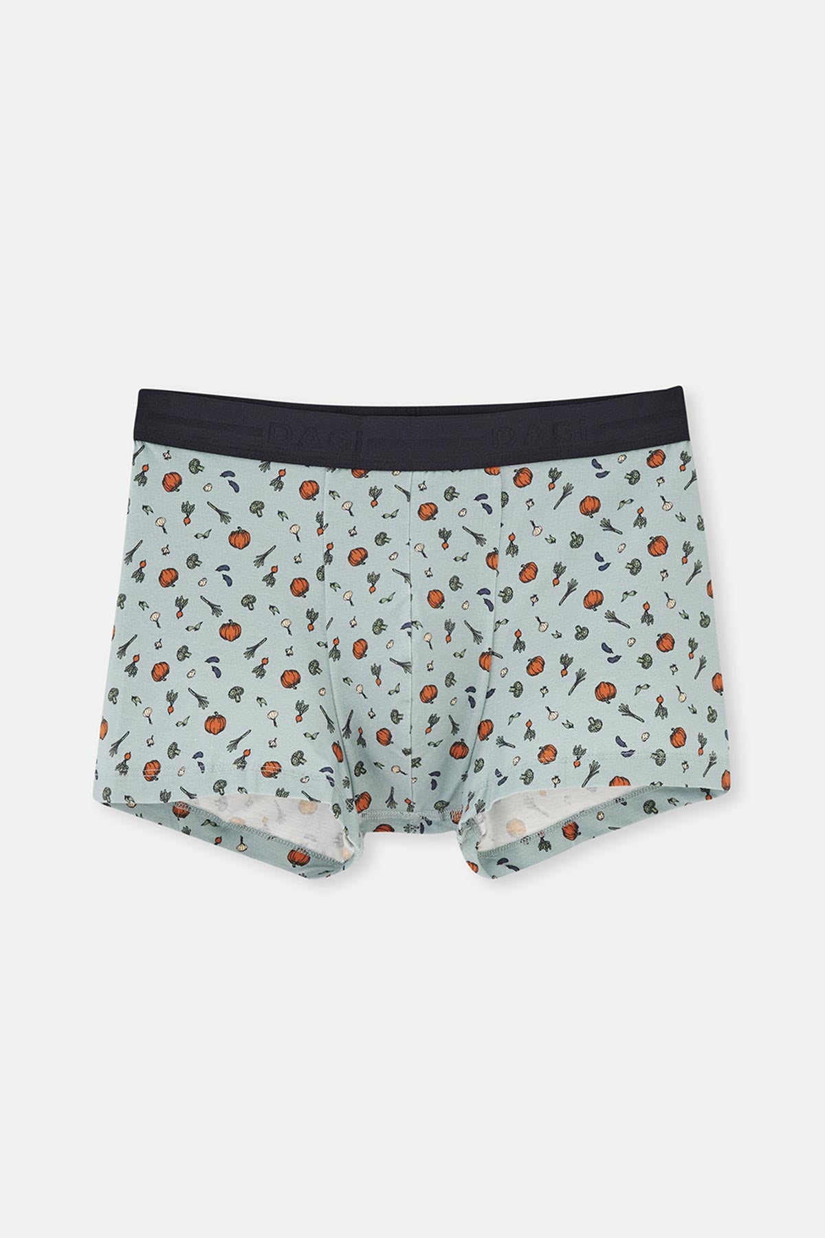 Gri Mavi Desenli Pamuklu Boxer