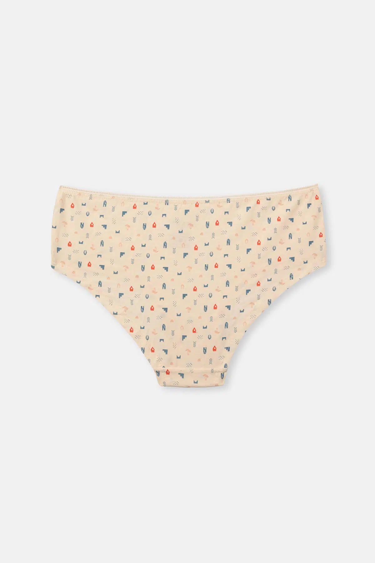 Ekru-Gri Mavi-Pudra Kadın 3'lü Desenli Hipster Külot