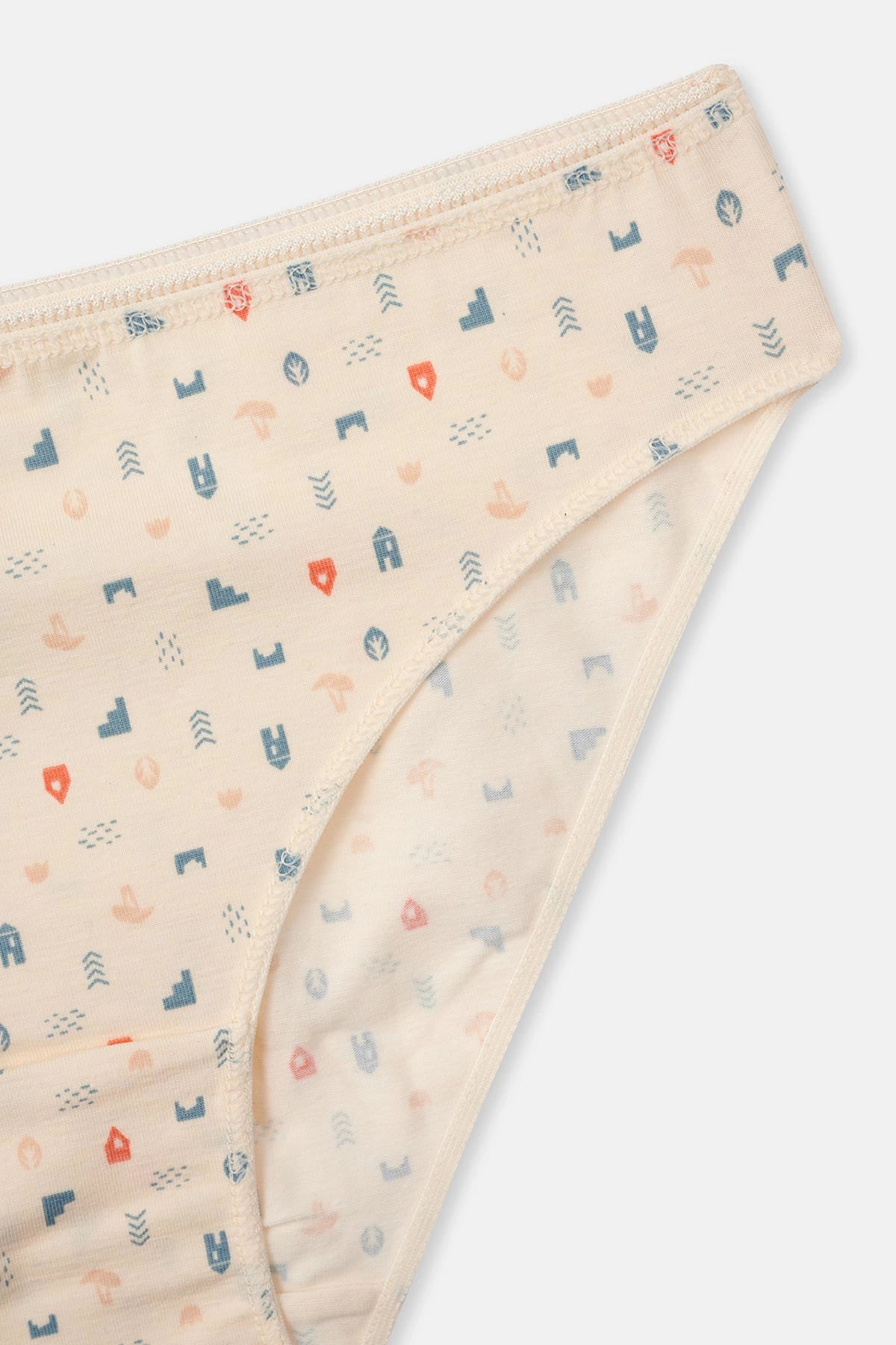 Ekru-Gri Mavi-Pudra Kadın 3'lü Desenli Brıef Külot