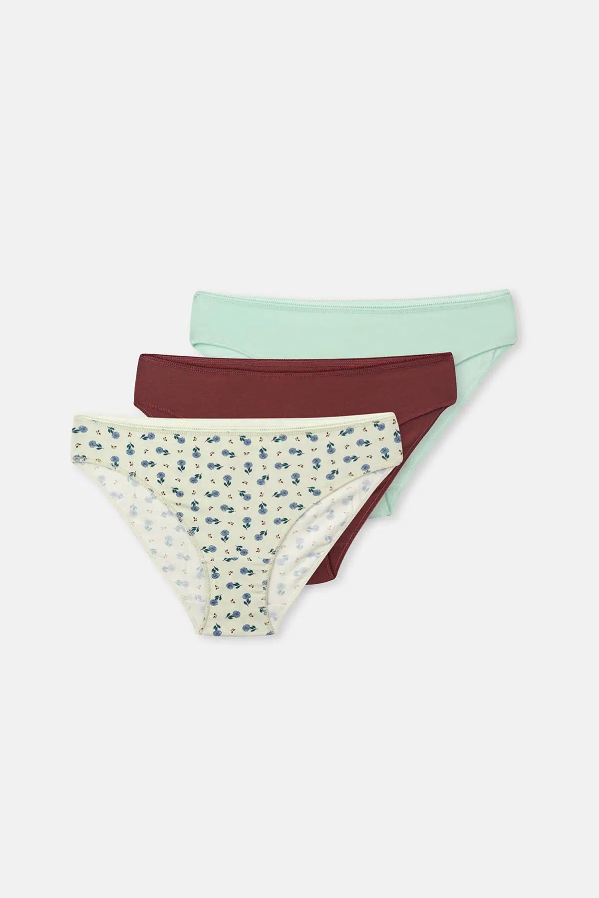 Gül Kurusu-Mint Kadın 3'lü Desenli Brief Külot
