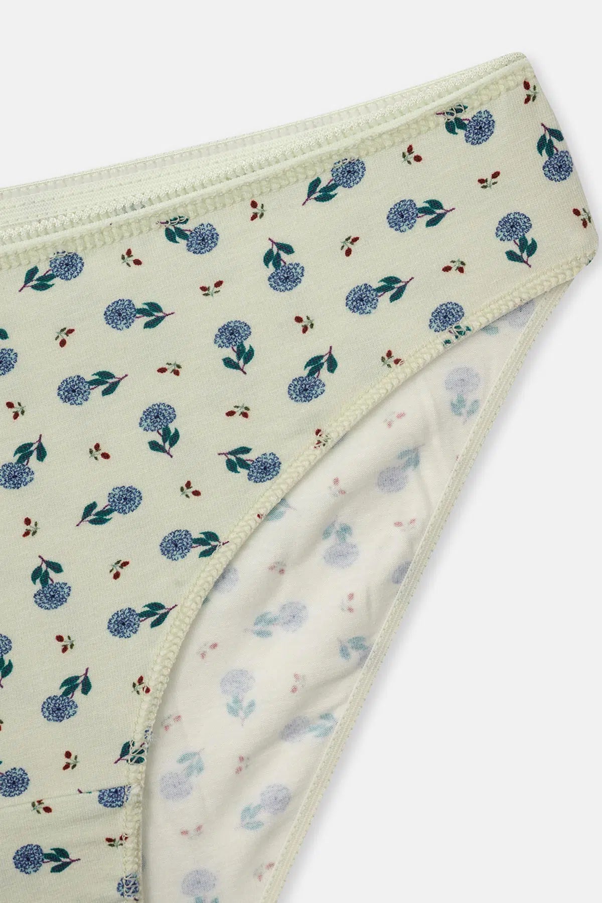 Gül Kurusu-Mint Kadın 3'lü Desenli Brief Külot