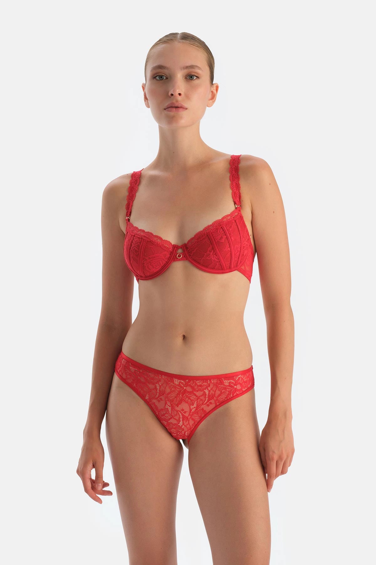 Kırmızı Pencere Detaylı Dantel Ve Tül Brıef Külot