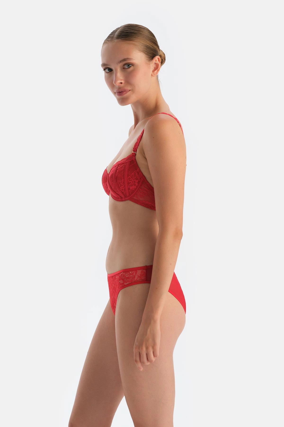 Kırmızı Pencere Detaylı Dantel Ve Tül Brıef Külot