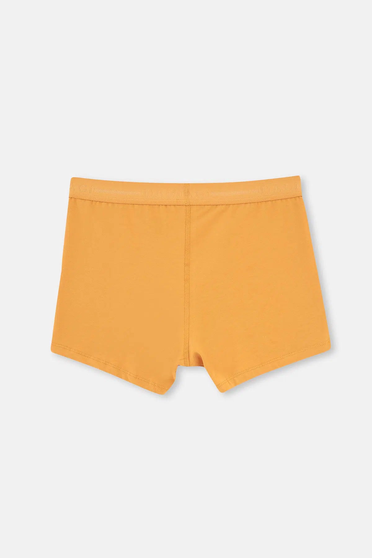 Hardal Basic Pamuk 2'li Boxer