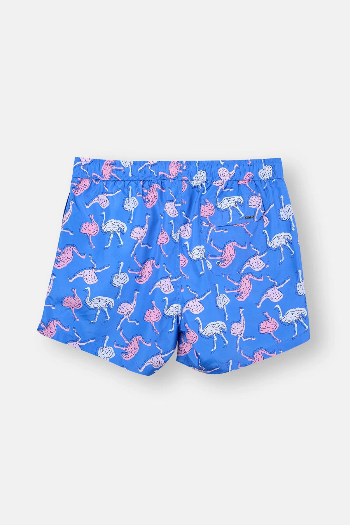 Multicolor Normal Bel Kısa Şort