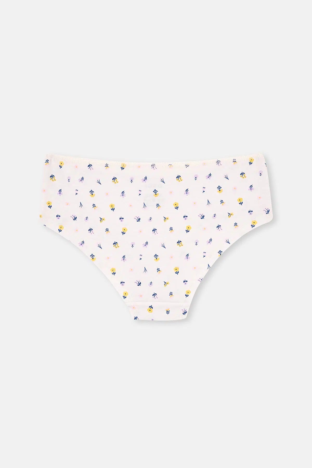 Multicolor Kadın 3'Lü Desenli Hipster Külot