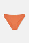 Multicolor Kadın 3'lü Pamuklu Brief Külot