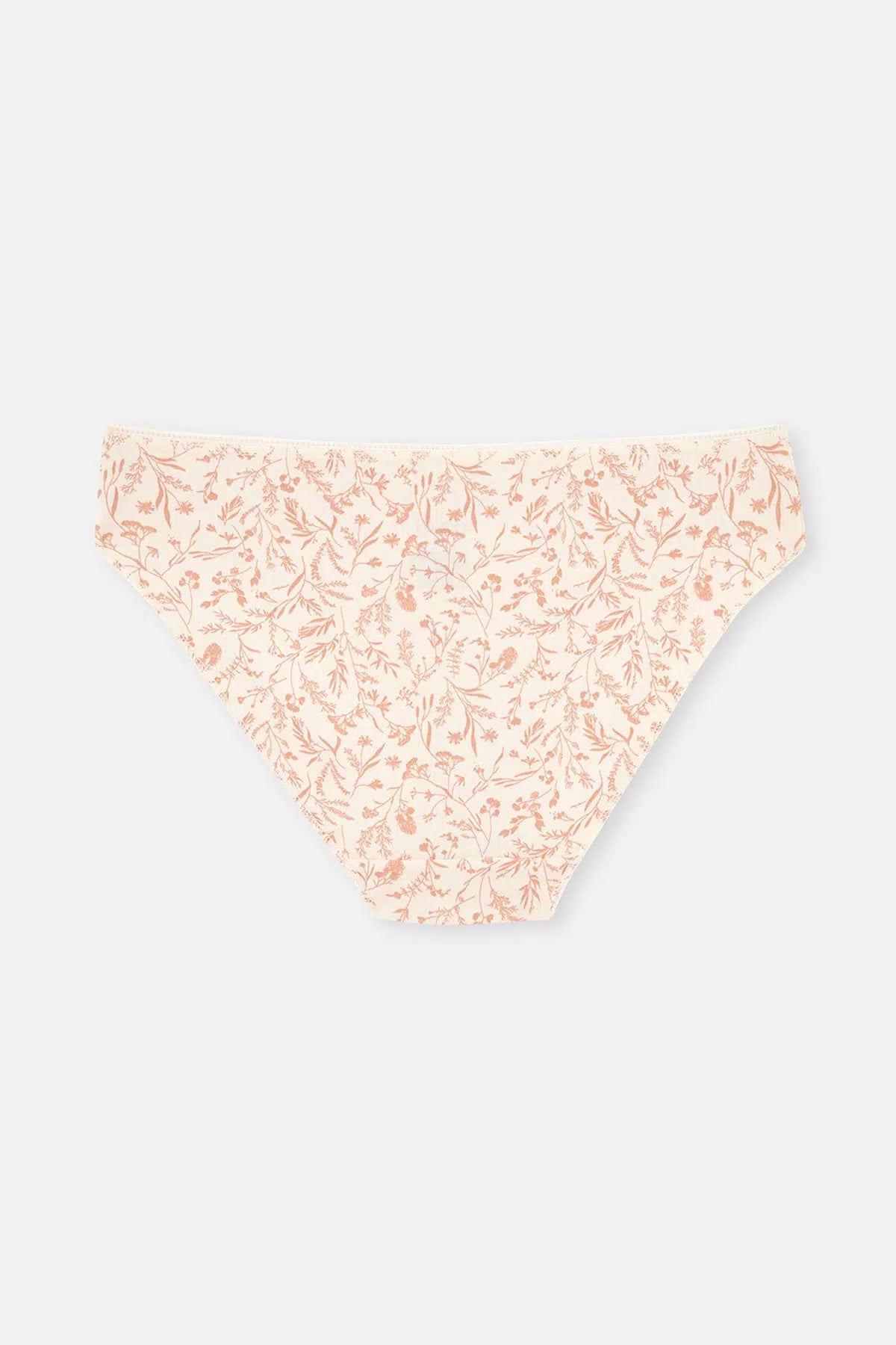 Multicolor Kadın 3'lü Pamuklu Brief Külot