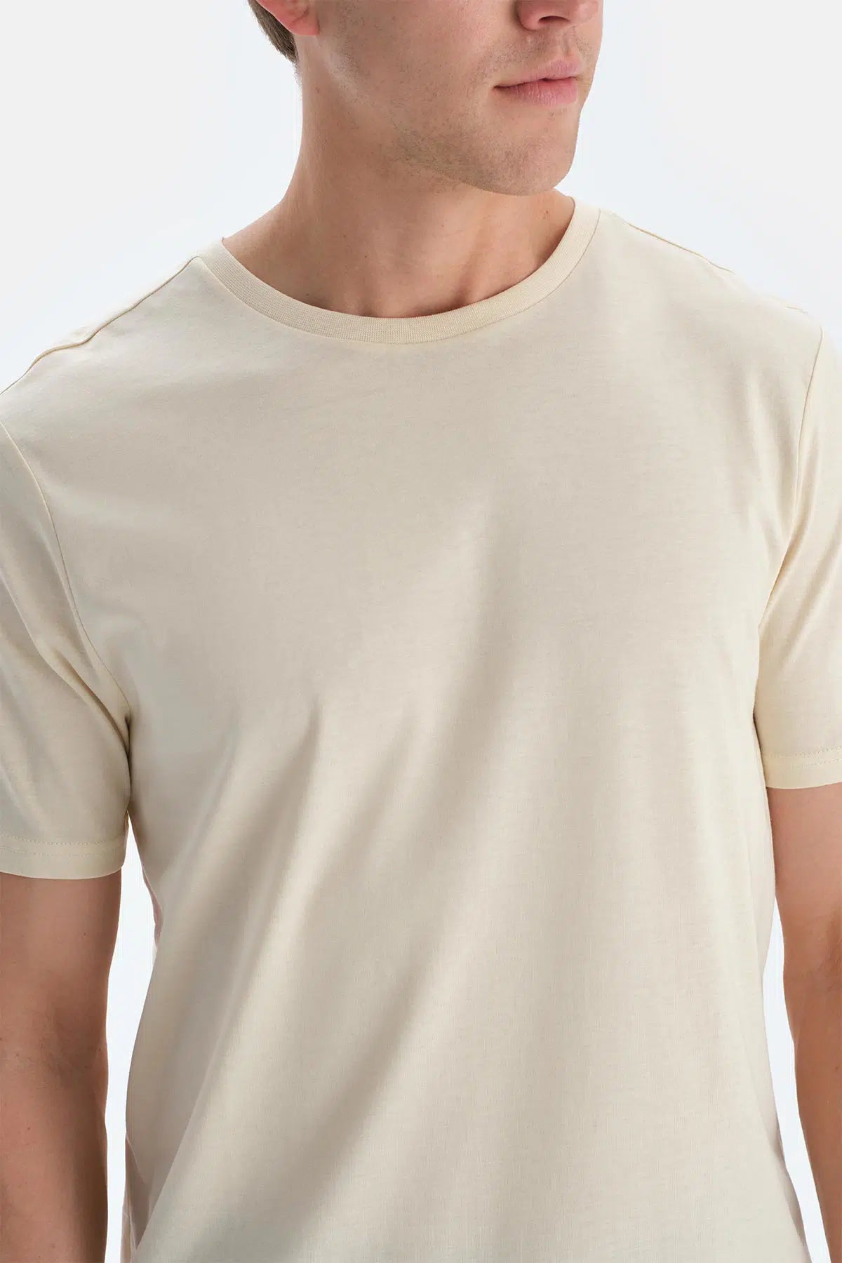 Ekru Bisiklet Yaka Ipek Apre Kısa Kollu Tişört