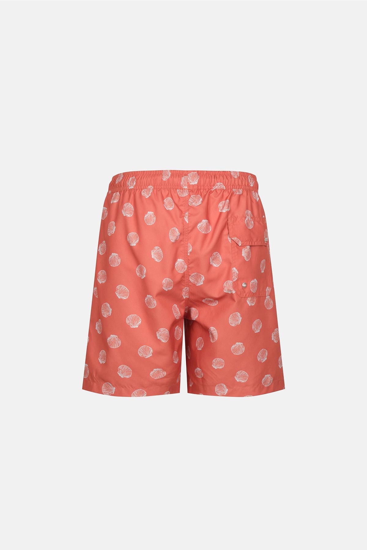 Multicolor Deniz Kabuğu Orta Şort