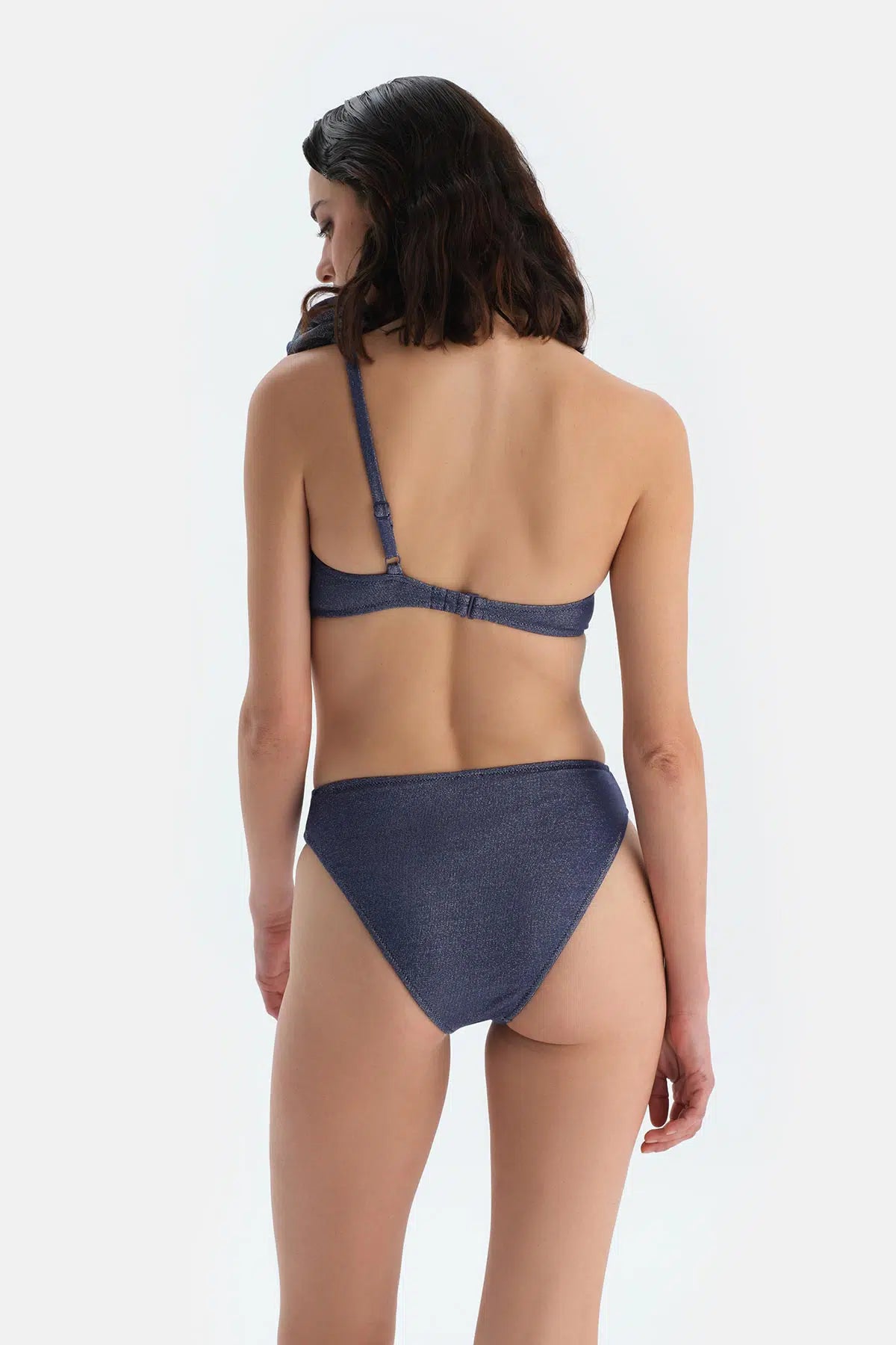 Mürdüm Yüksek Bel Bikini Alt