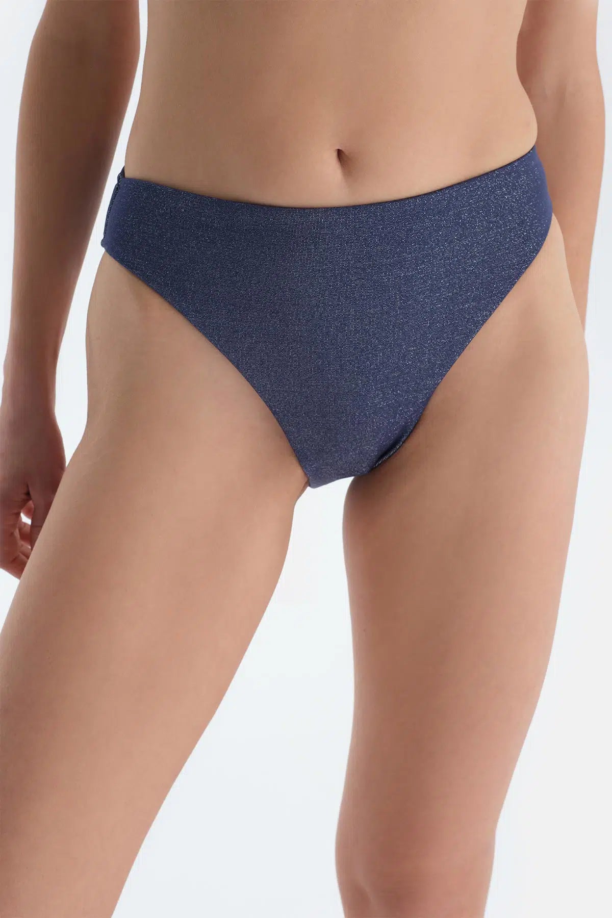 Mürdüm Yüksek Bel Bikini Alt