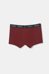 Kiremit D-Men Saks Spor Micro Modal Boxer