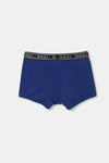 Sax D-Men Saks Spor Micro Modal Boxer