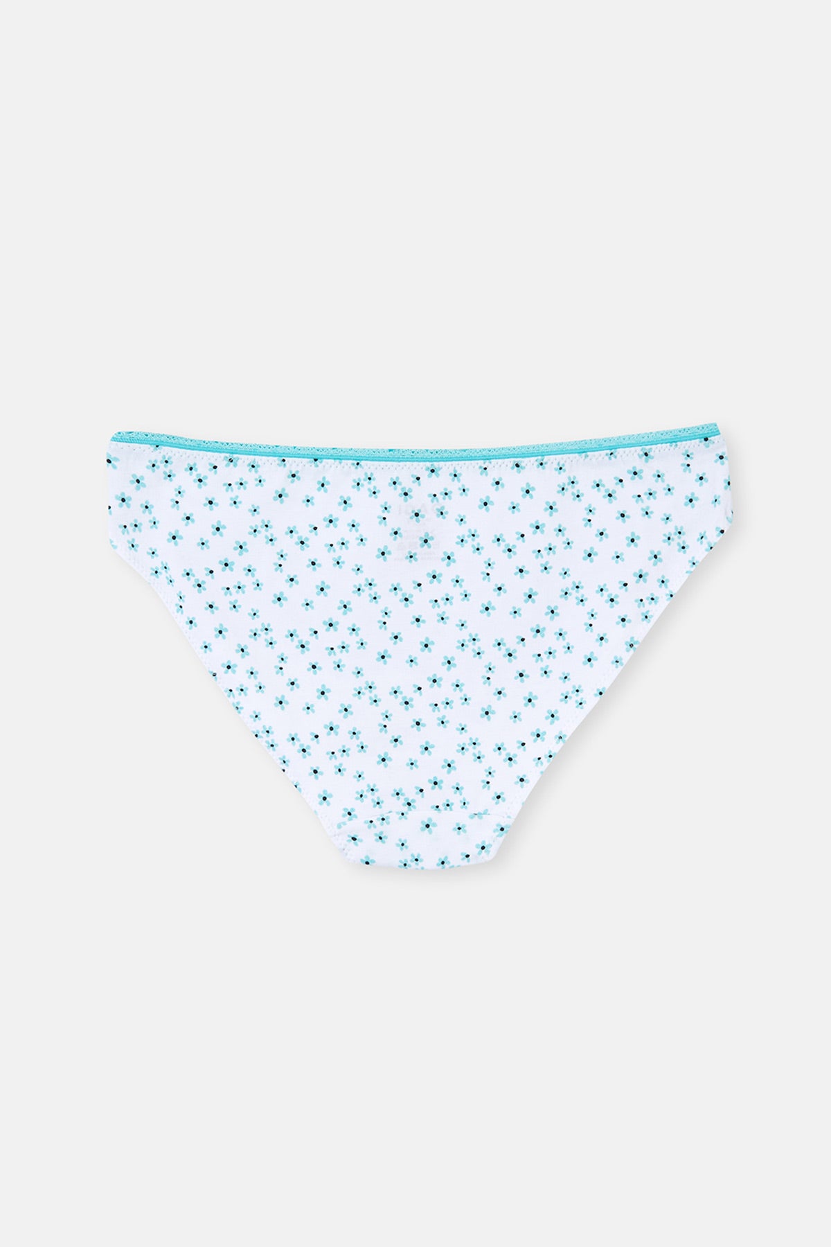 Mint Desenli Desenli 2 Li Slip