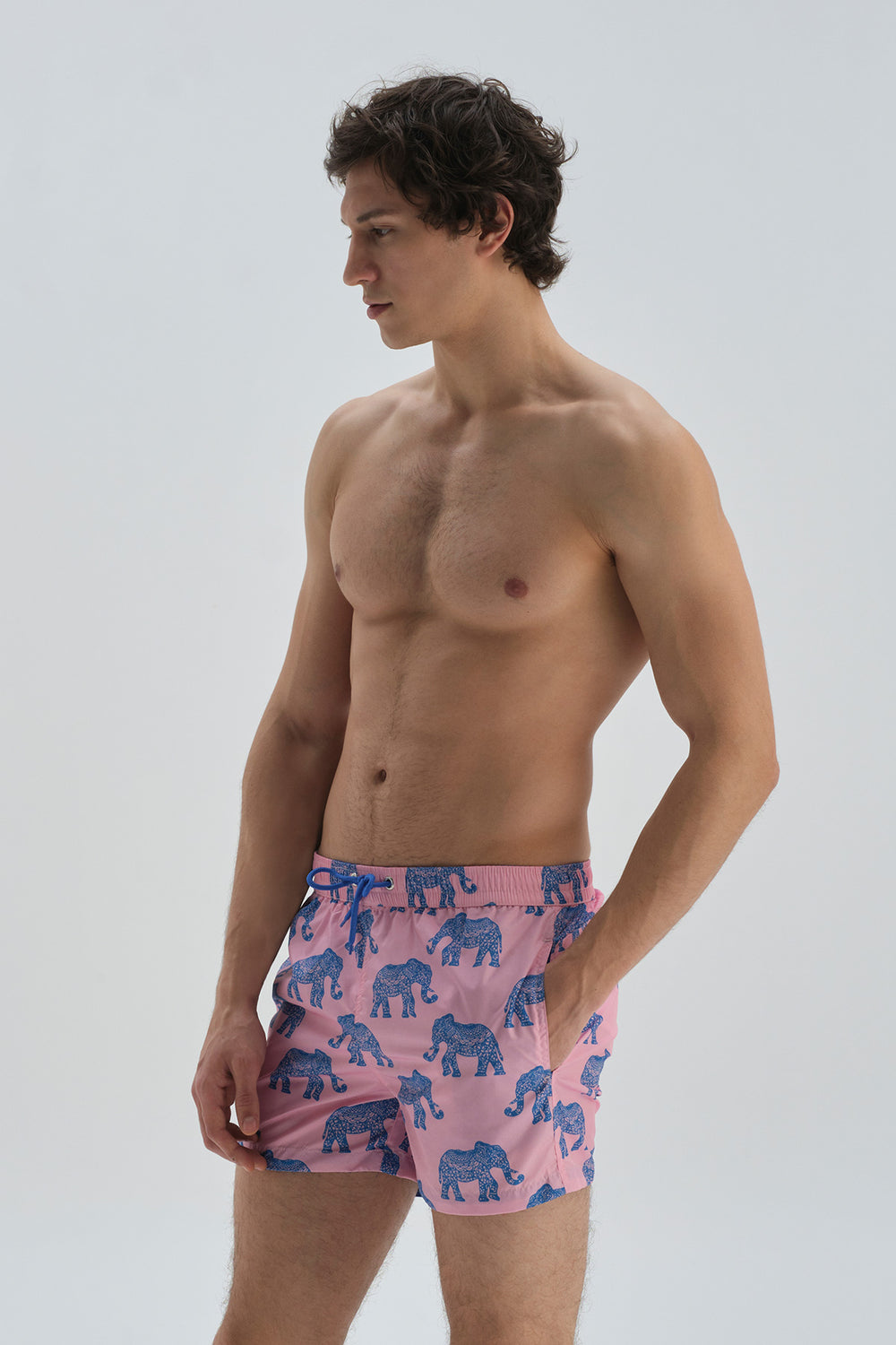 Pembe-Mavi Micro Kısa Fil Desenli Deniz Şortu
