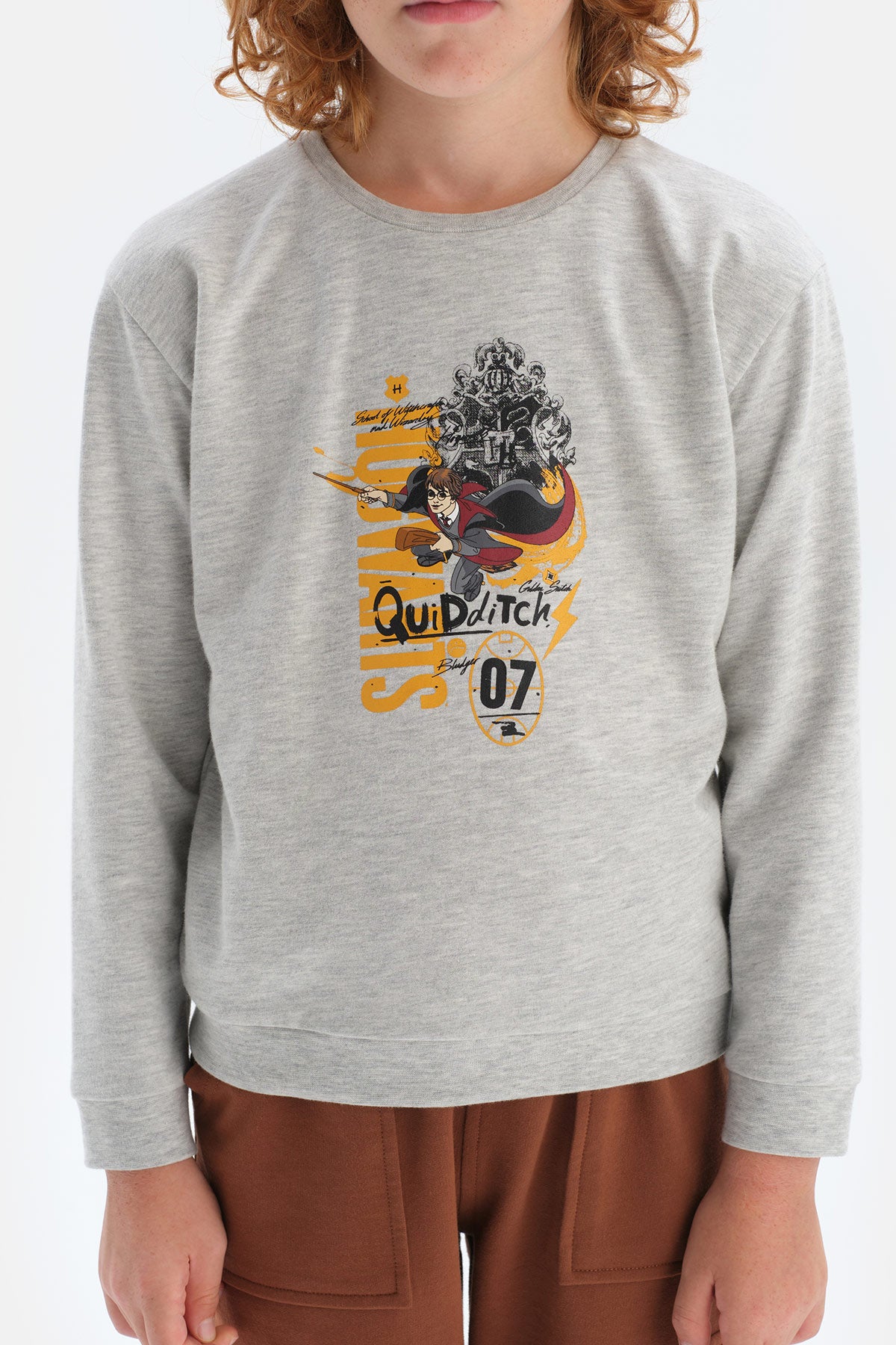Gri Erkek Çocuk Harry Potter Bisiklet Yaka Sweatshirt