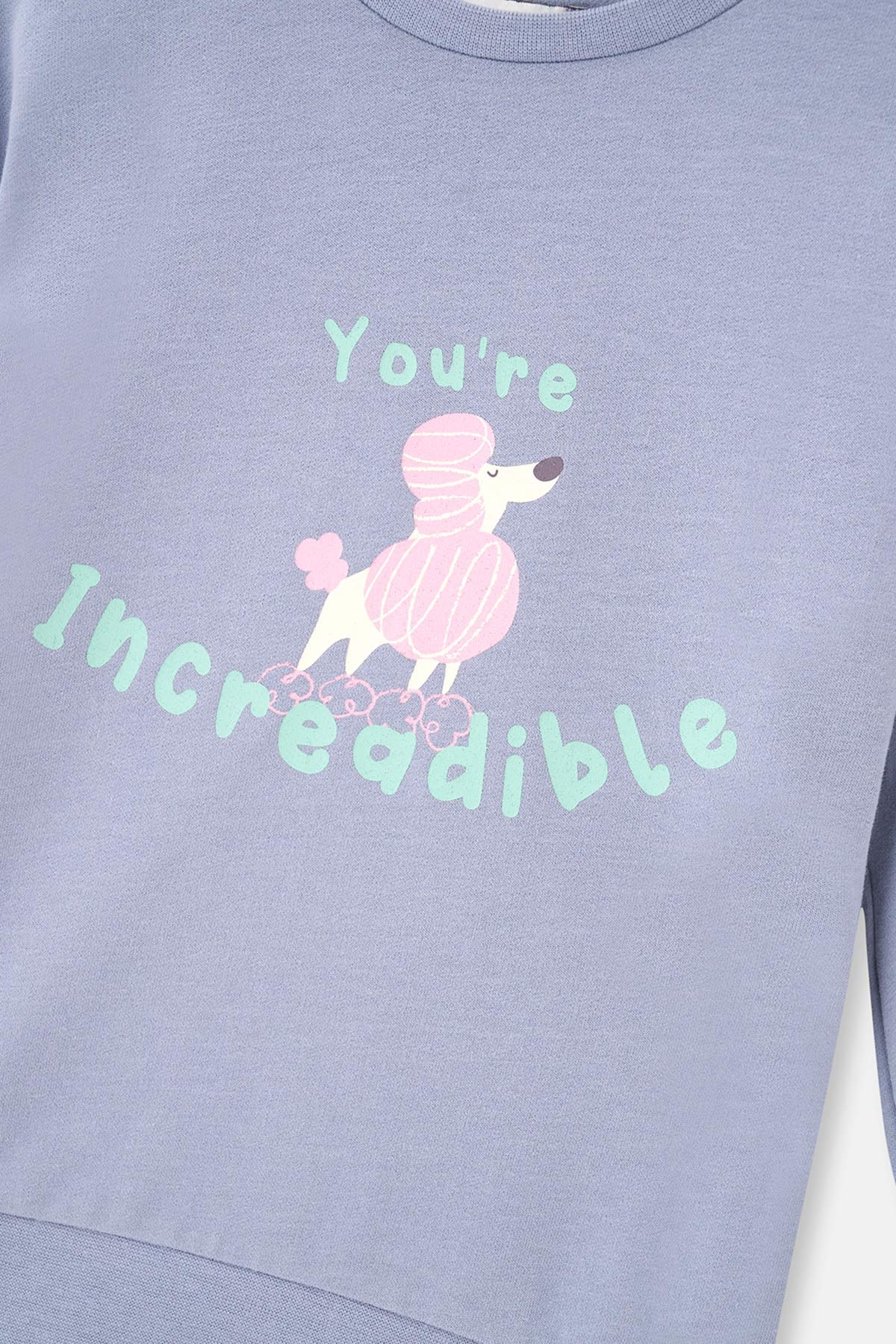 Buz Mavisi Buz si Uzun Kol Bisiklet Yaka Önü Baskılı Sweatshirt