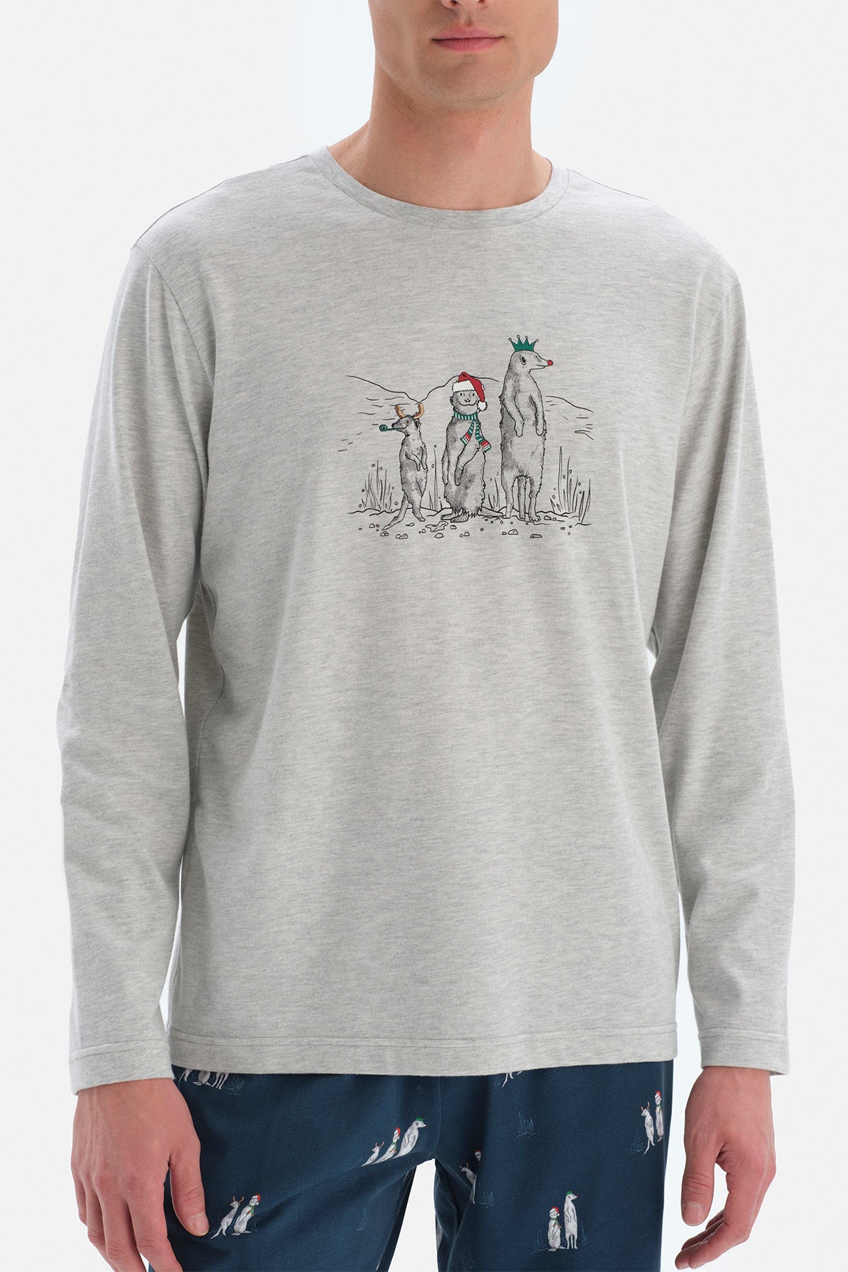 Gri Uzun Kol Bisiklet Yaka Pamuklu Pijama Takımı