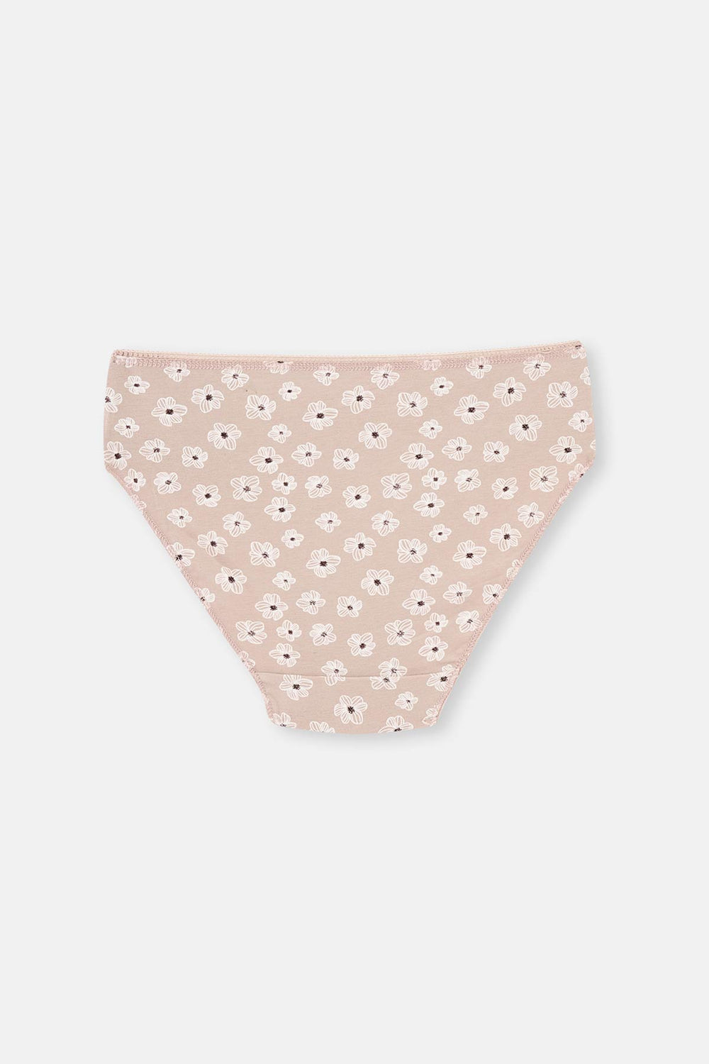 Karışık Karışık Kadın 2'Li Pamuklu Brıef