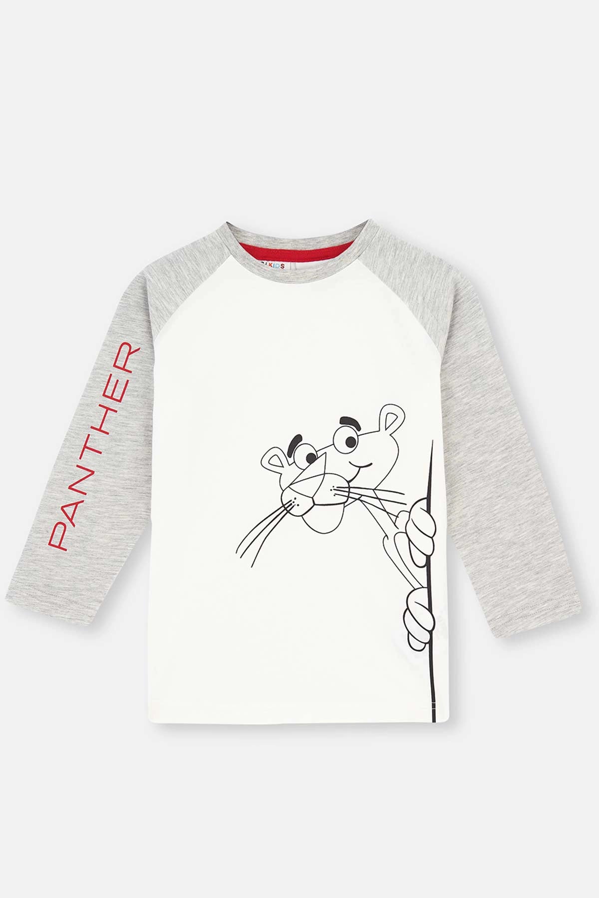 Gri Erkek Çocuk Baskılı Jogger Paça Pijama Takımı