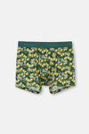 Yeşil D-Men Pamuk Desenli 2'li Boxer