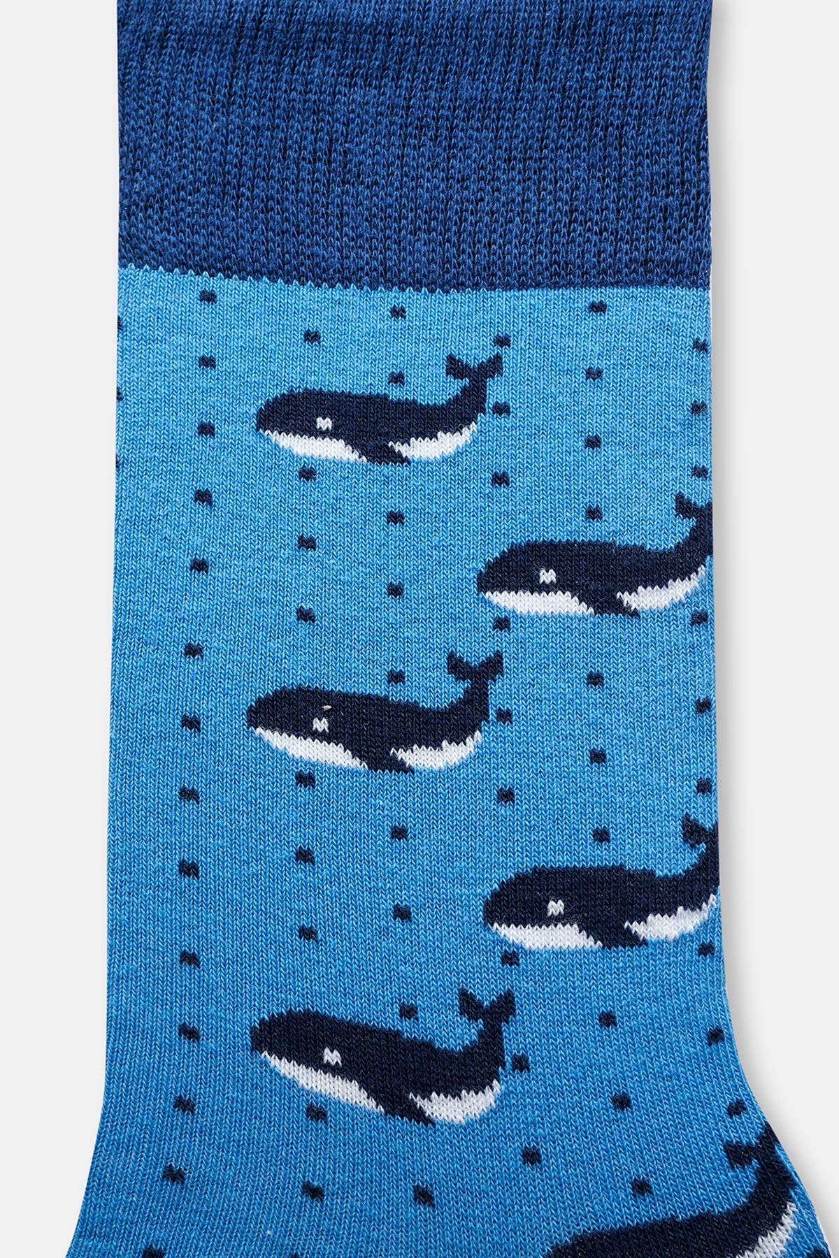 Mavi Erkek Balina Desenli Çorap
