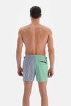 Yeşil - Mavi Çizgili Kemerli Deniz Şortu