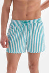 Yeşil-Beyaz Çizgili Mini Deniz Şortu