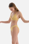 Sarı Çizgili Düşük Bel Bikini Altı