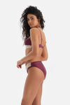 Bordo-Ekru Yüksek Bel Bikini Altı