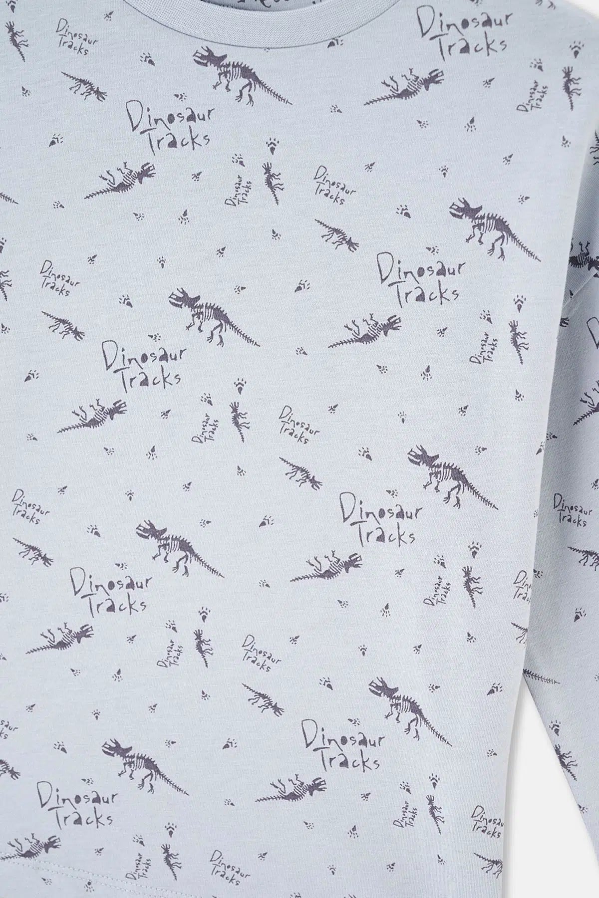 Mavi Dinozor Baskılı Uzun Kollu Pijama Takımı