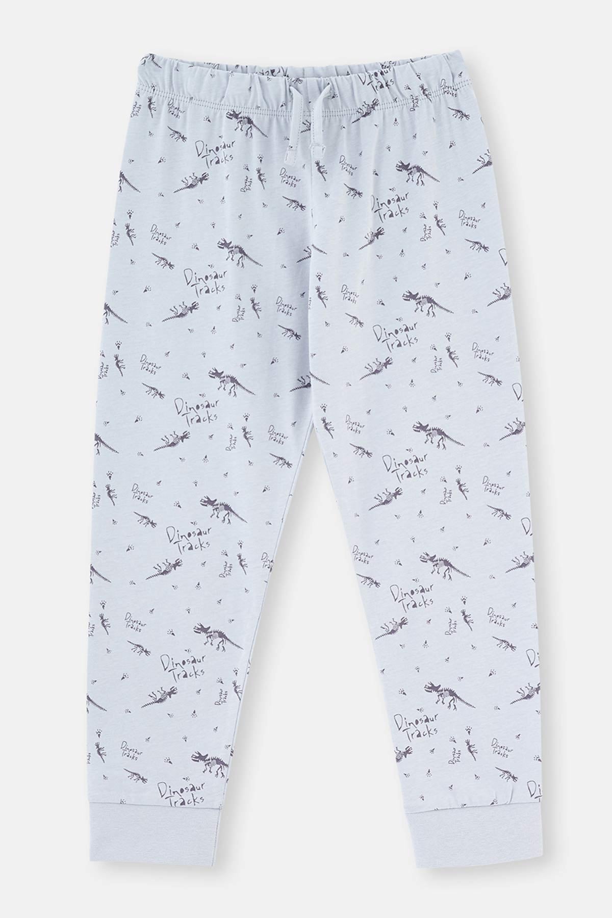 Mavi Dinozor Baskılı Uzun Kollu Pijama Takımı