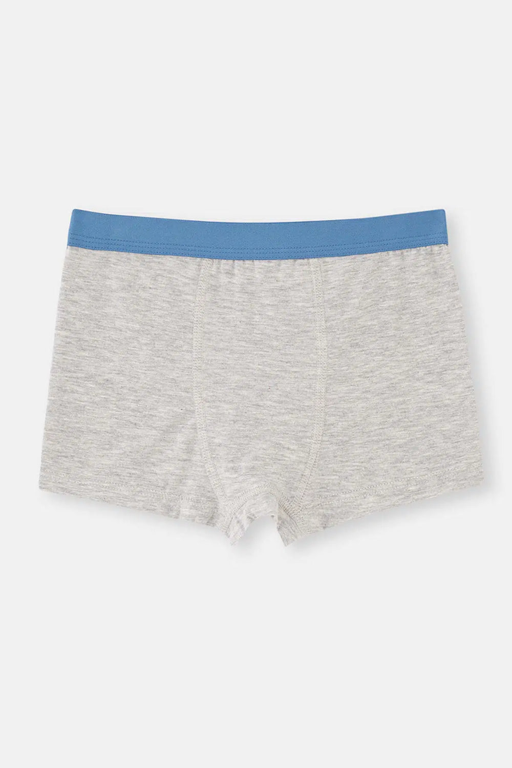 Mavi-Grimelanj 2'Li Erkek Çocuk Pamuklu Boxer