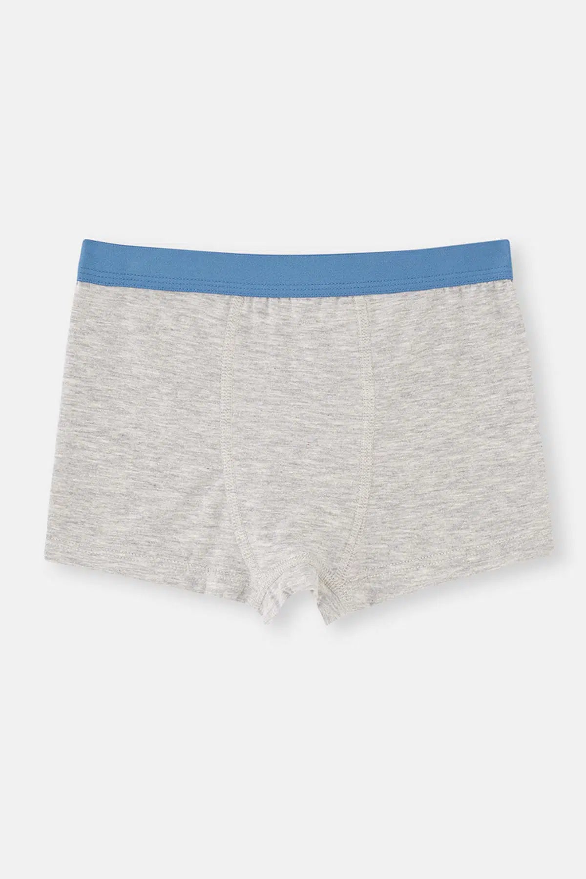 Mavi-Grimelanj 2'Li Erkek Çocuk Pamuklu Boxer