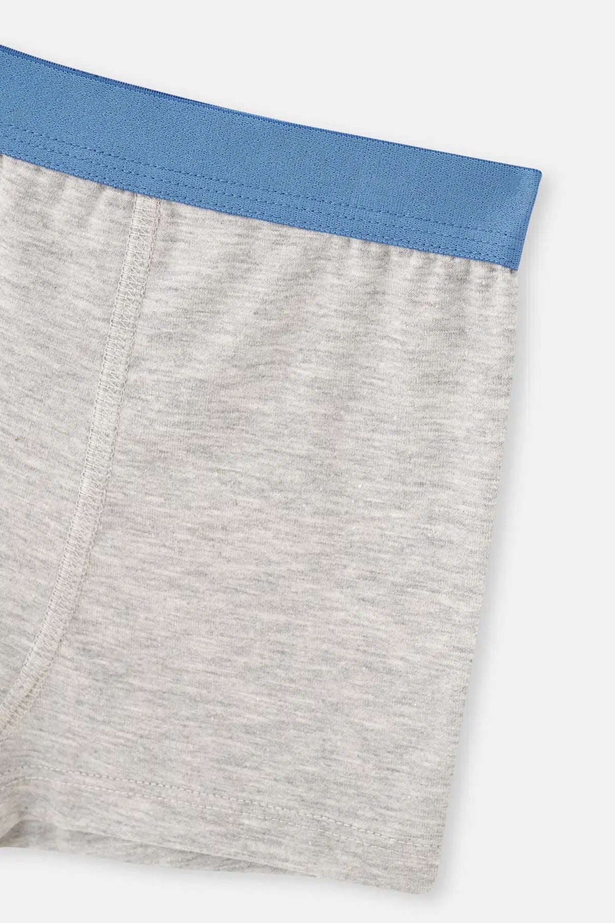 Mavi-Grimelanj 2'Li Erkek Çocuk Pamuklu Boxer