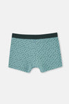 Açık Mavi-Koyu Yeşil 2'li Desenli Pamuk Boxer
